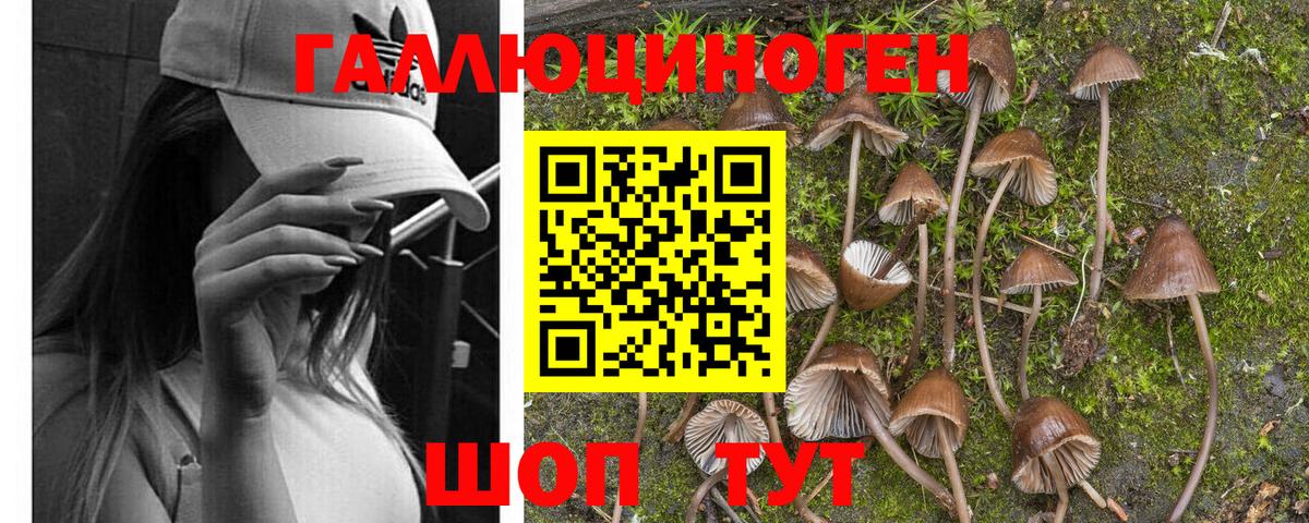 Псилоцибиновые грибы Psilocybine cubensis  Вход с VPN  Качканар 