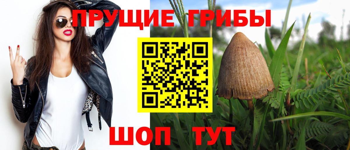 Псилоцибиновые грибы MAGIC MUSHROOMS Качканар